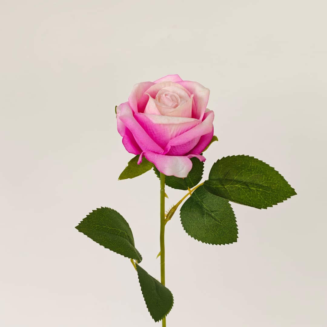 Velvet Rose (50cm) 绒布玫瑰 | Short Flowers