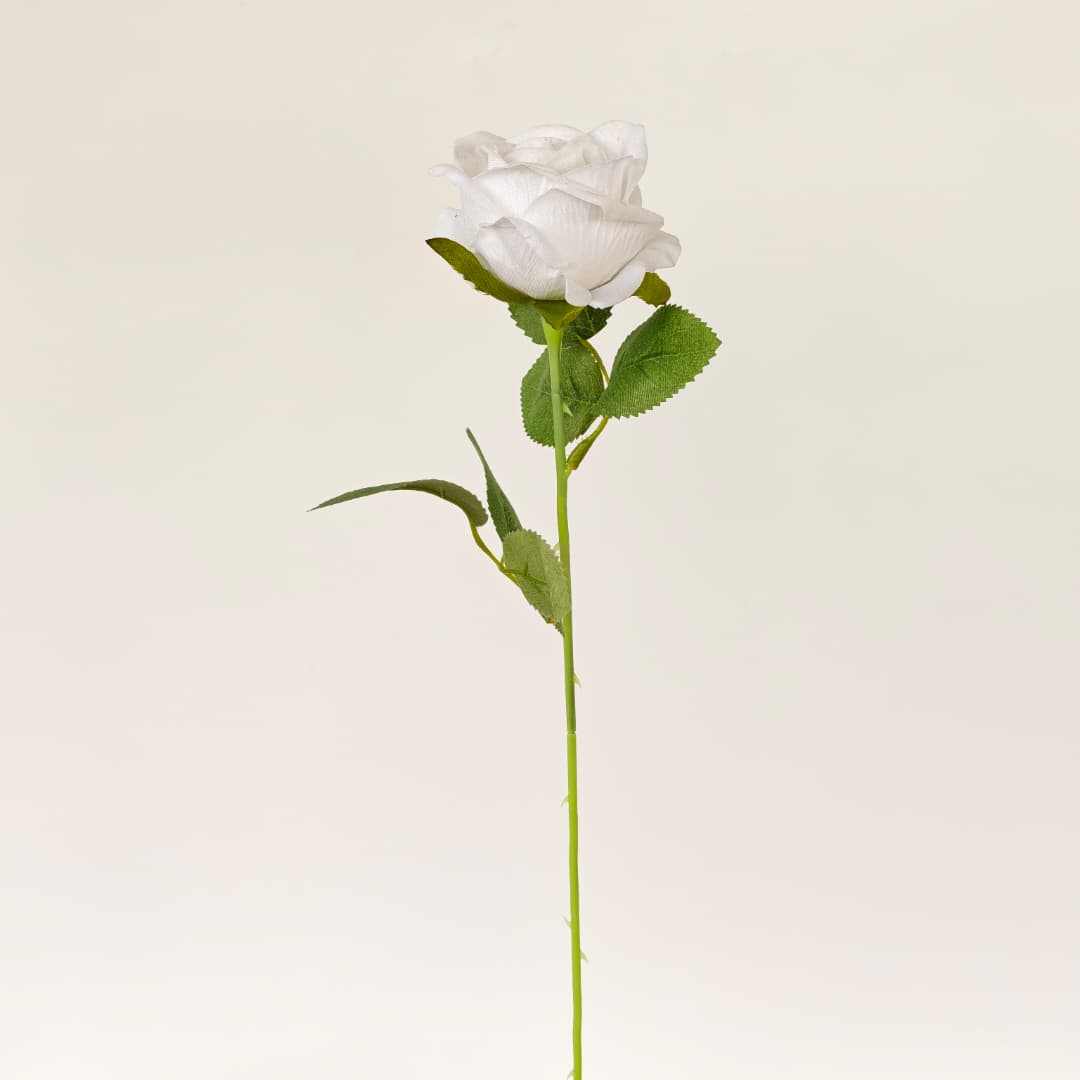 Velvet Rose (50cm) 绒布玫瑰 | Short Flowers