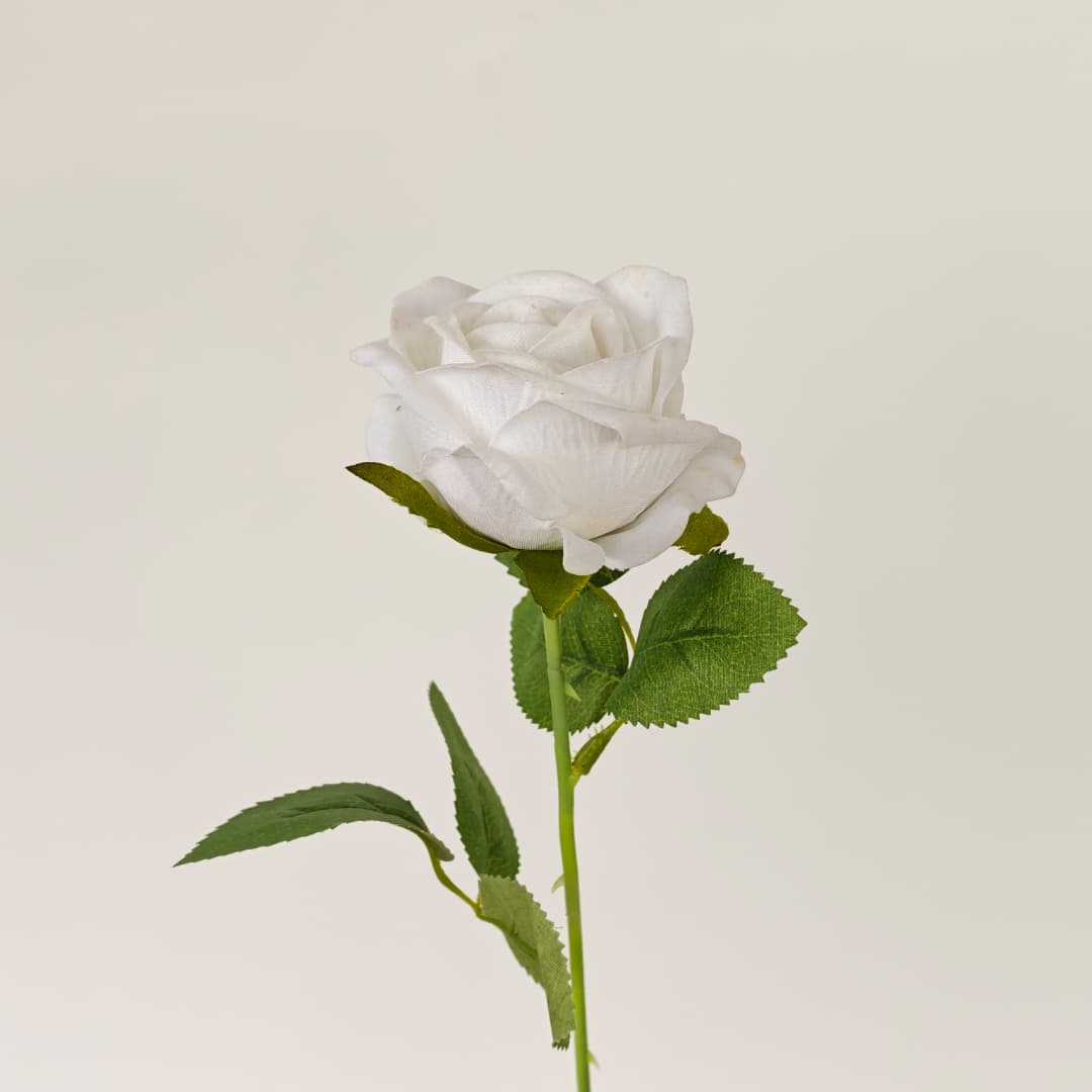 Velvet Rose (50cm) 绒布玫瑰 | Short Flowers