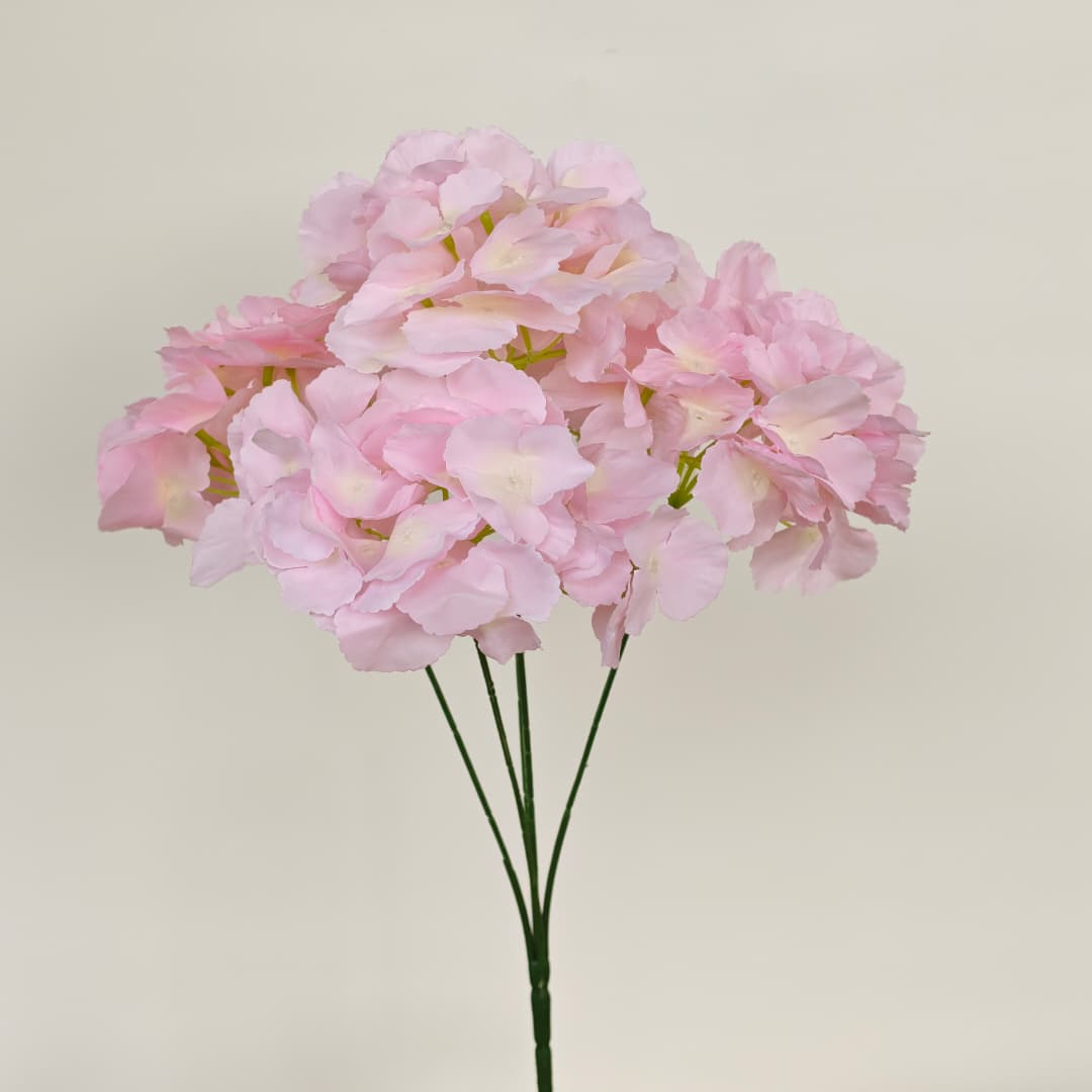 5 Heads Hydrangea W/O Leaf Big 大五叉绣球  | Short Flowers