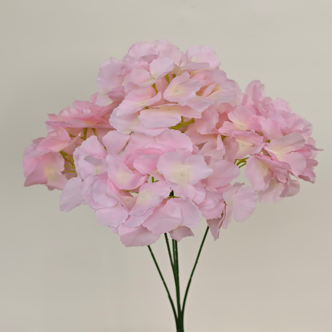 5 Heads Hydrangea W/O Leaf Big 大五叉绣球  | Short Flowers
