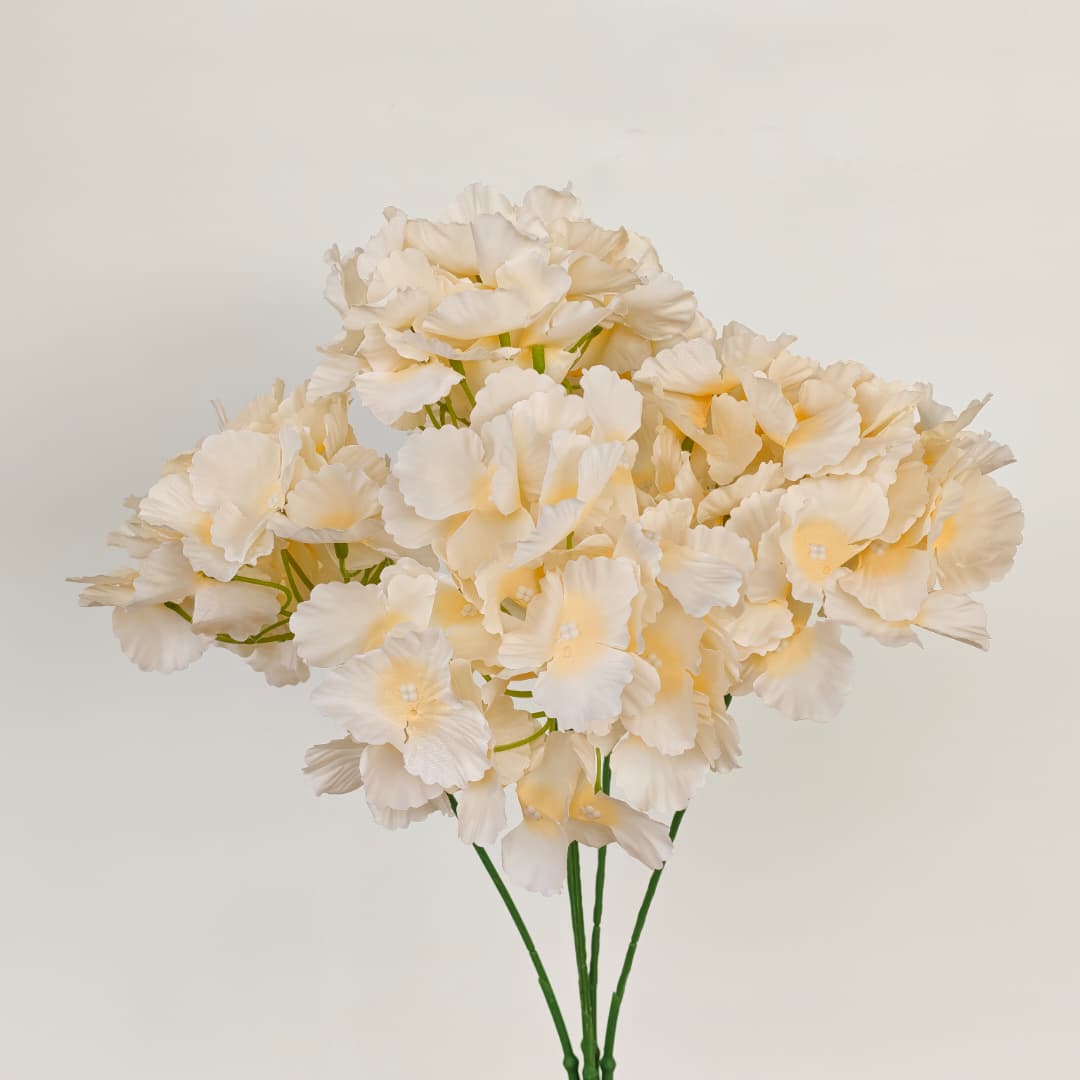 5 Heads Hydrangea W/O Leaf Big 大五叉绣球  | Short Flowers