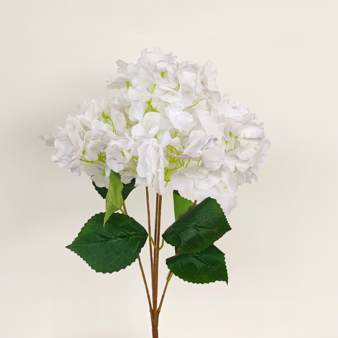 5 Heads Hydrangea 大五叉绣球 奶白-Cream | Short Flowers