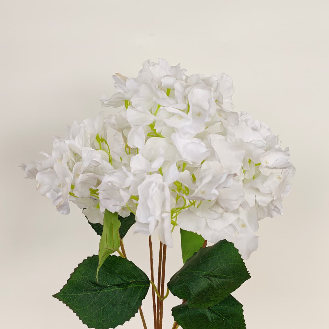 5 Heads Hydrangea 大五叉绣球 奶白-Cream | Short Flowers