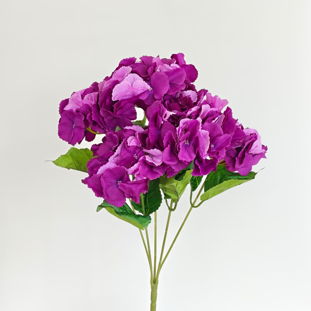 5 Heads Hydrangea  Big 大五叉绣球 | Short Flowers