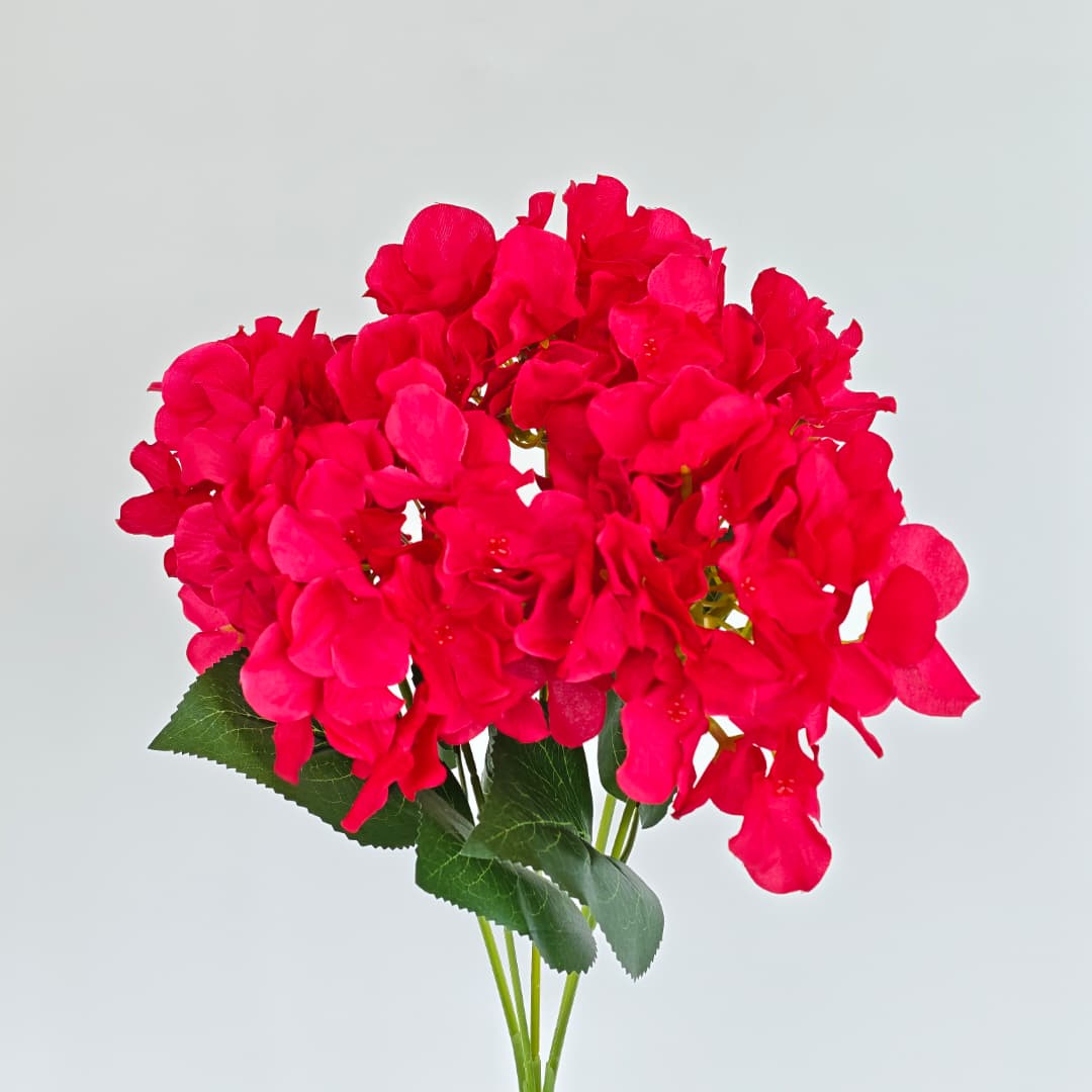 5 Heads Hydrangea  Big 大五叉绣球 | Short Flowers