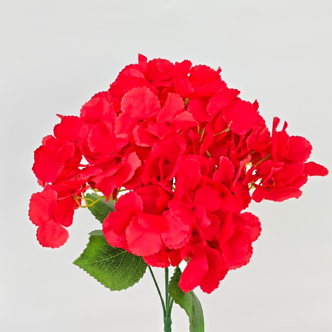 5 Heads Hydrangea Spray Big 大五叉绣球 | Short Flowers