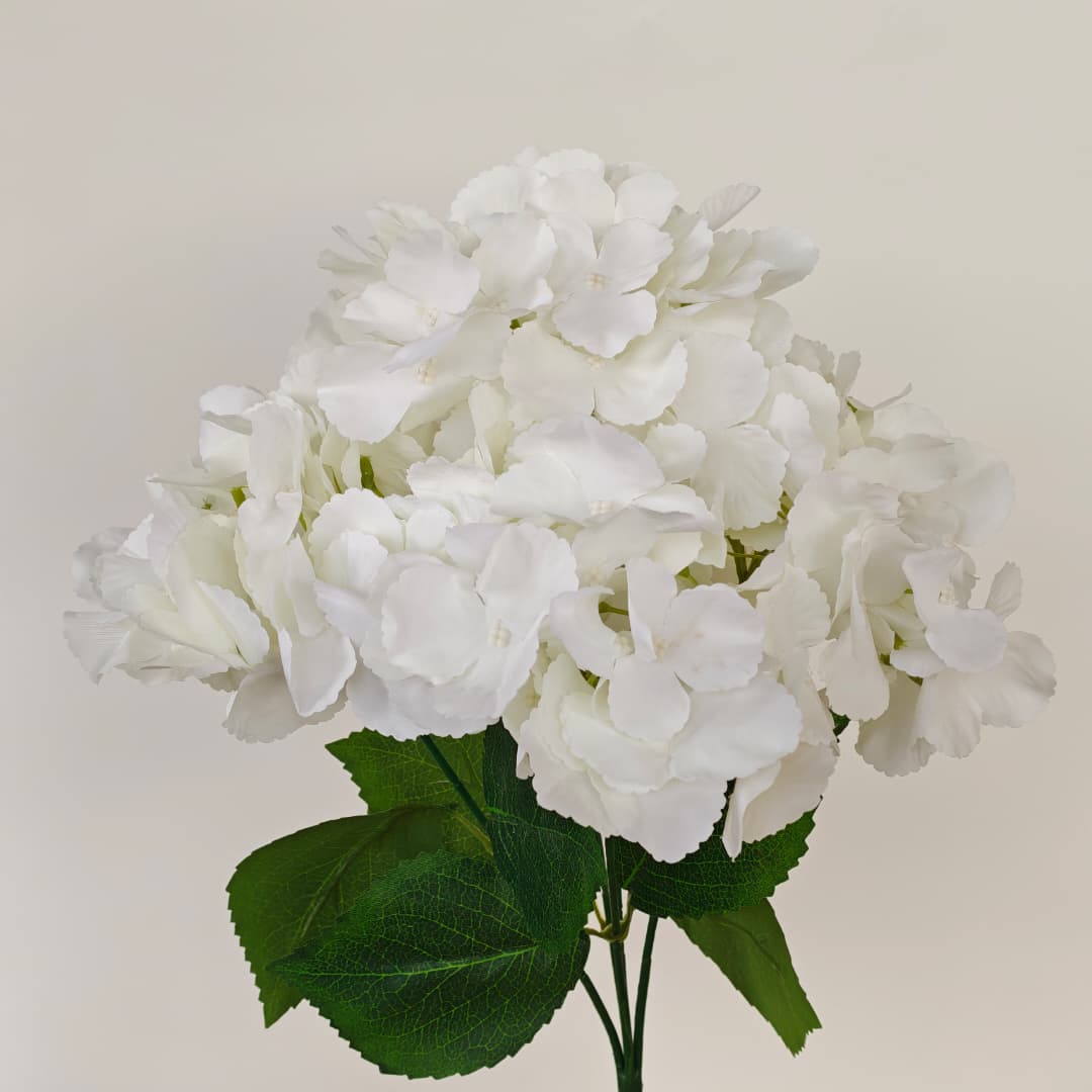 5 Heads Hydrangea Spray Big 大五叉绣球 | Short Flowers