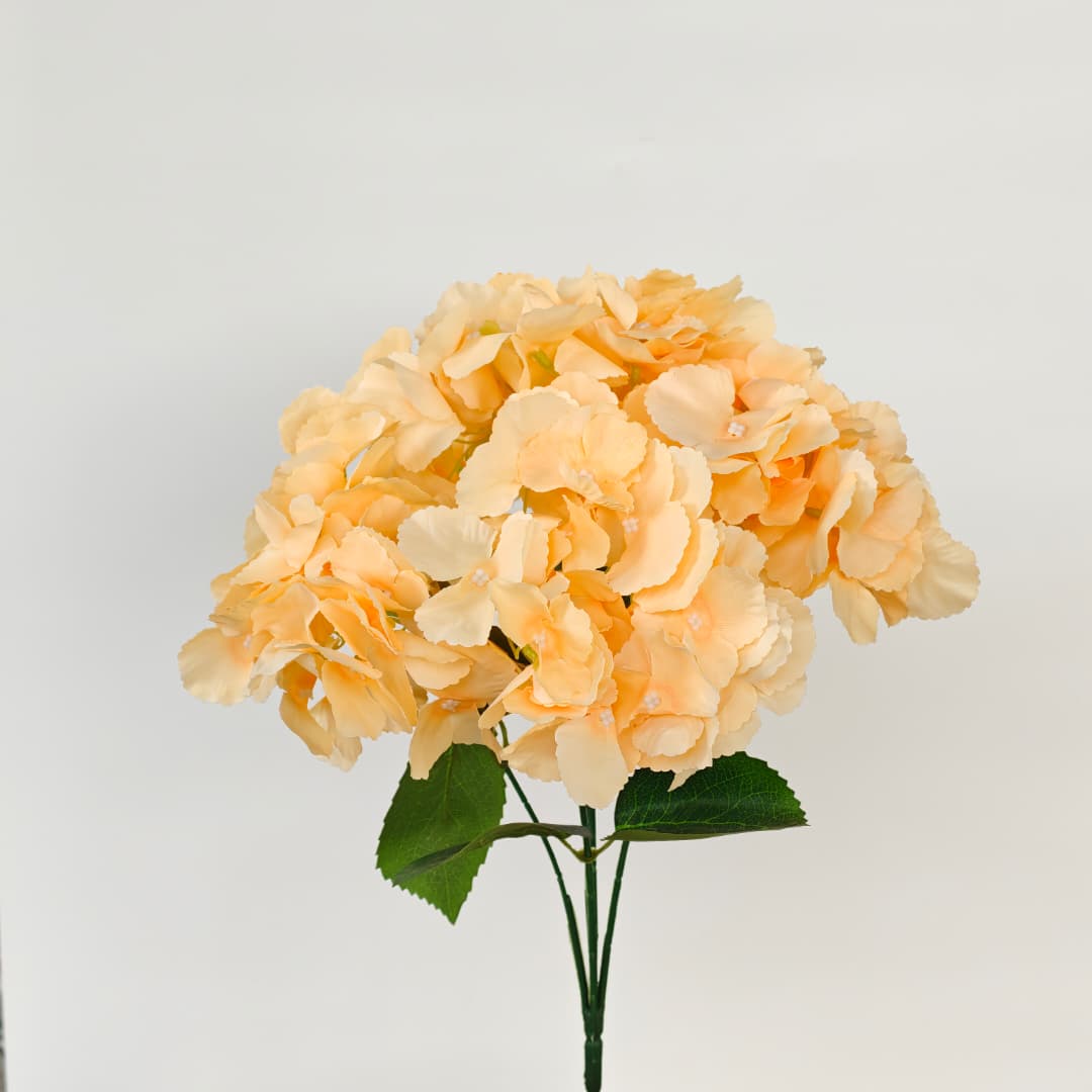 5 Heads Hydrangea Spray Big 大五叉绣球 | Short Flowers