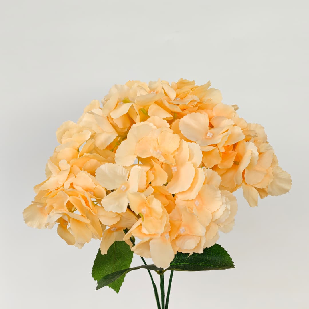 5 Heads Hydrangea Spray Big 大五叉绣球 | Short Flowers