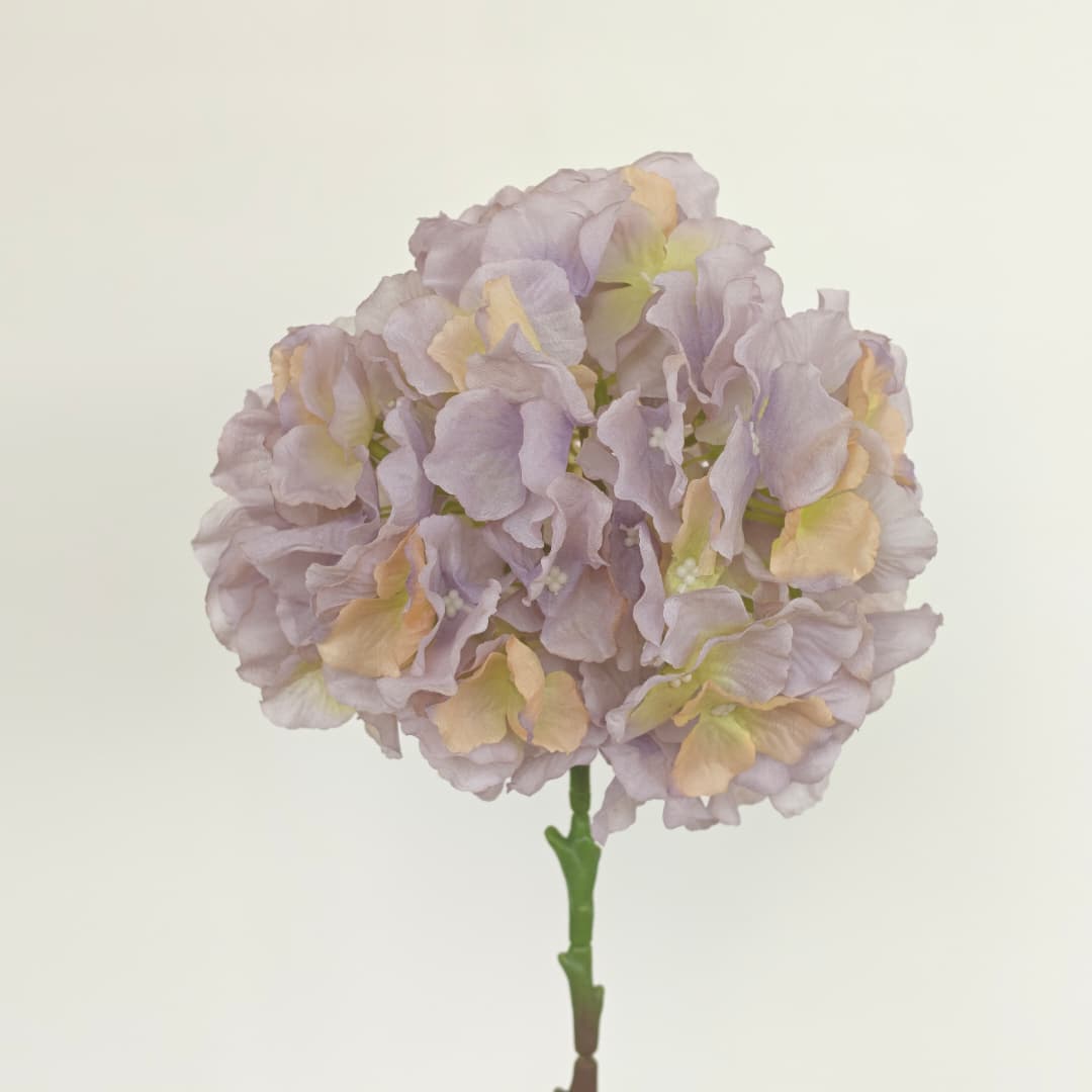 Hydrangea Spray Hand-tied Bouquet | Short Flowers