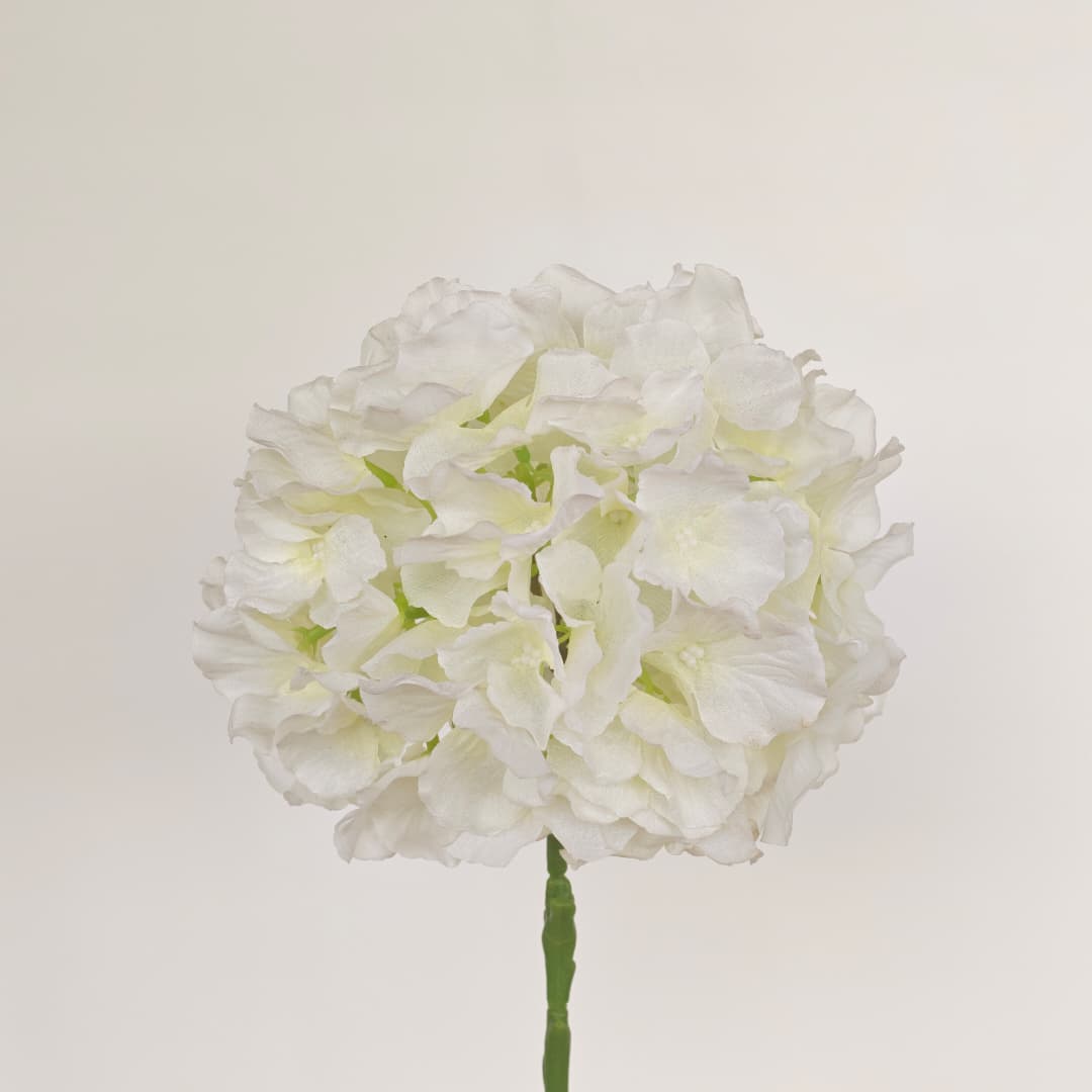 Hydrangea Spray Hand-tied Bouquet | Short Flowers