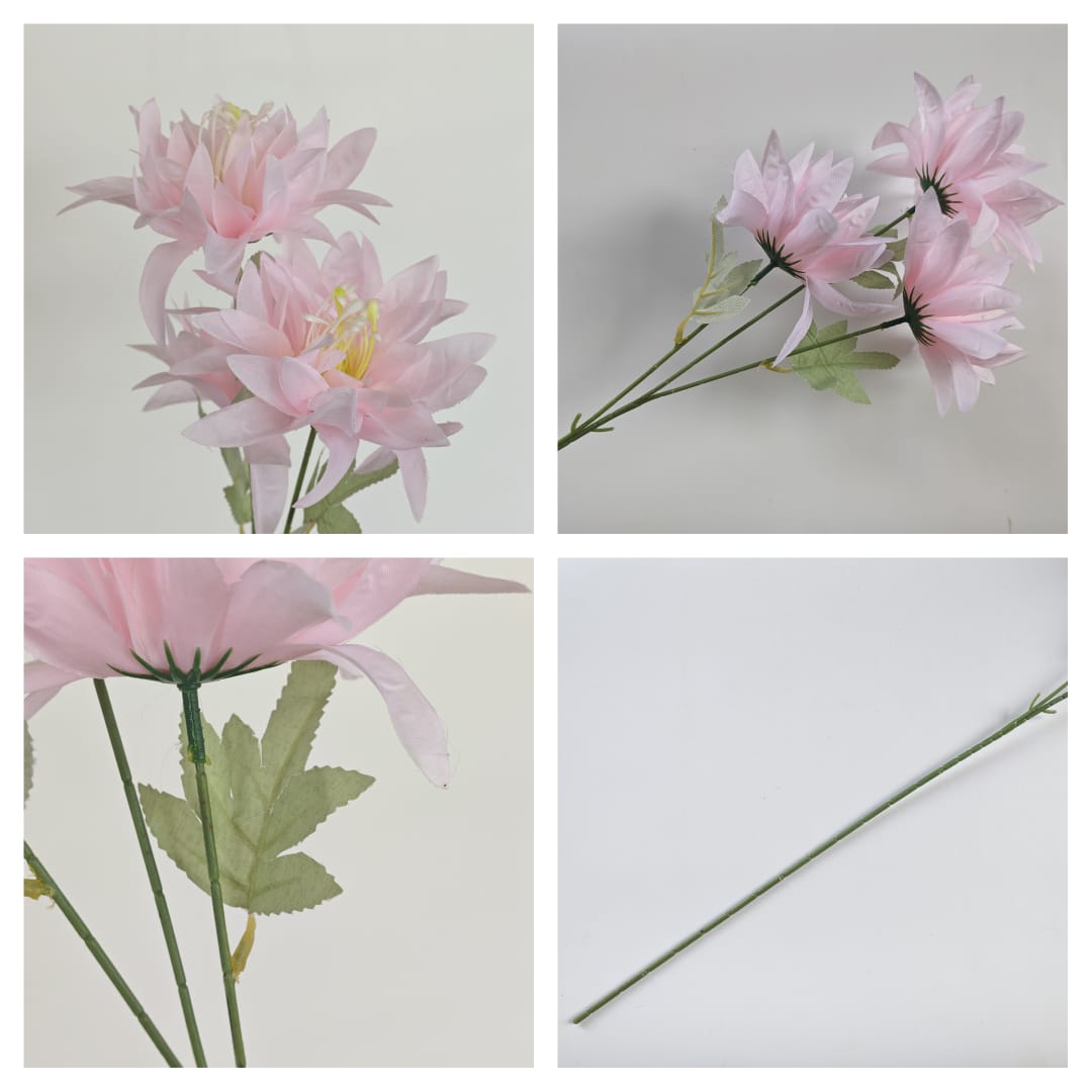 3 Heads Chrysanthemum Morifolium 大爪菊 | Tall Flowers
