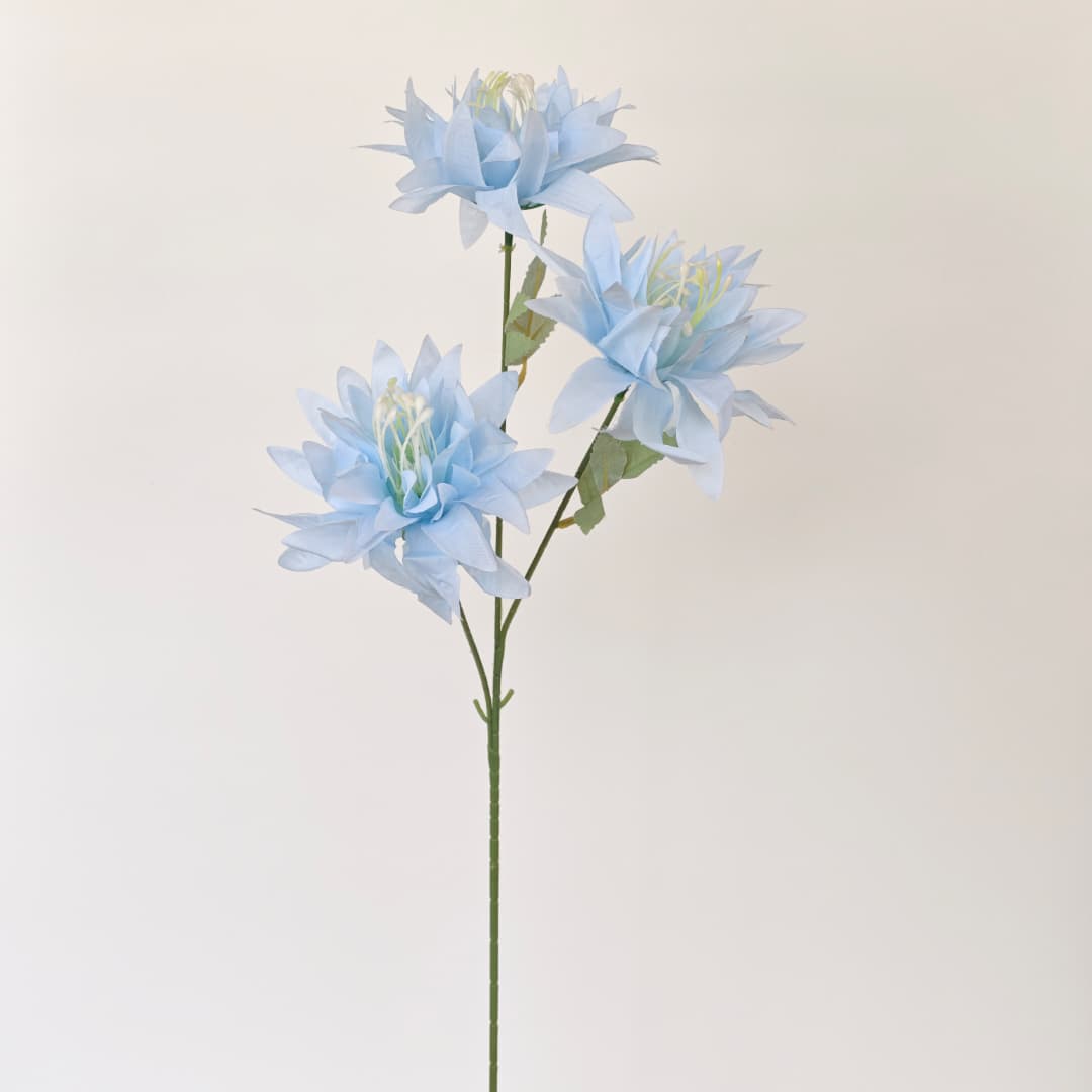 3 Heads Chrysanthemum Morifolium 大爪菊 | Tall Flowers