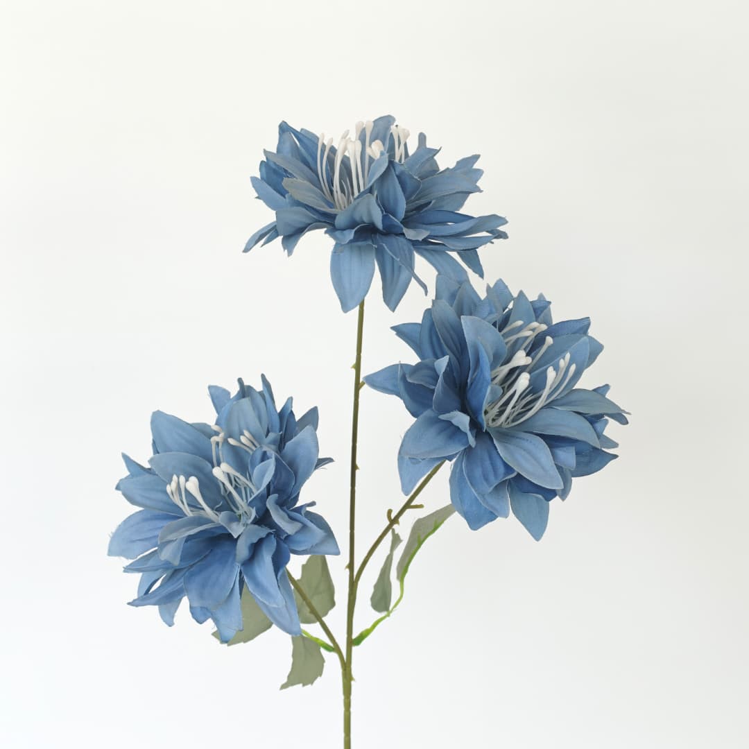 3 Heads Chrysanthemum Morifolium 大爪菊 | Tall Flowers