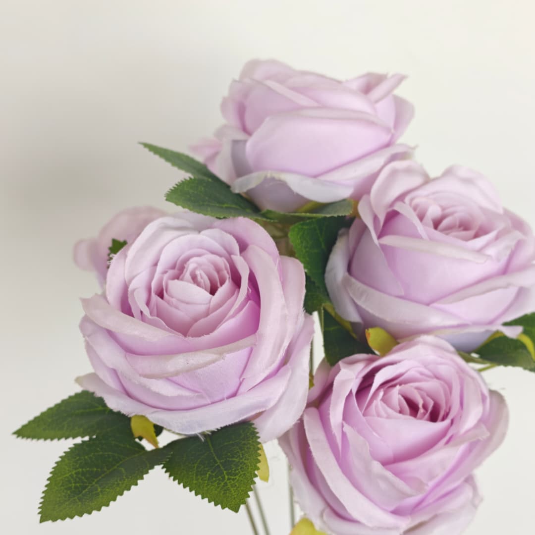Candy Rose x7 | Short Flowers