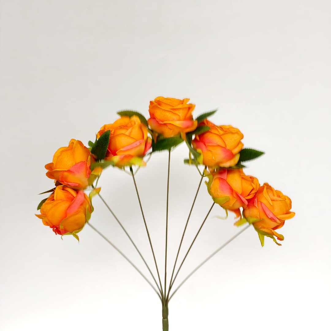 Candy Rose x7 | Short Flowers