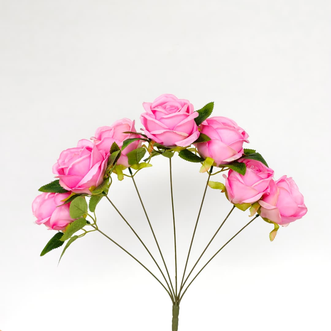 Candy Rose x7 | Short Flowers