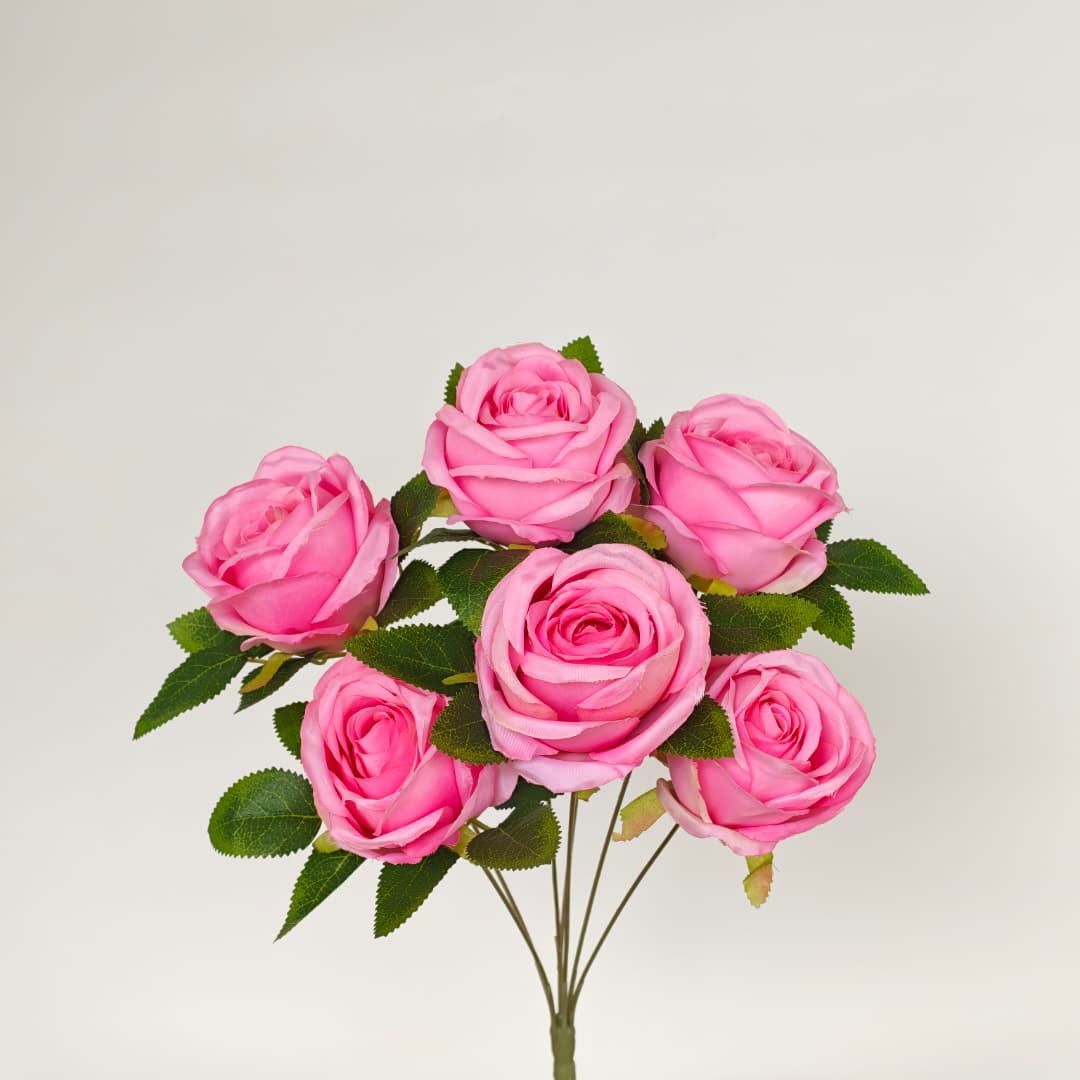 Candy Rose x7 | Short Flowers