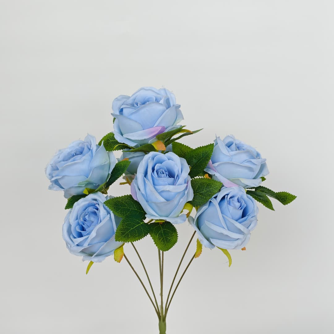 Candy Rose x7 | Short Flowers