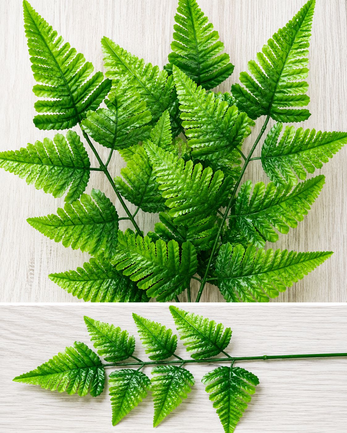 Leather Fern 52Hcm-Green | Flowers & Greenery