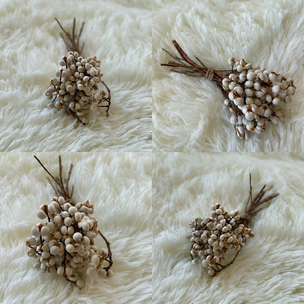 Lum Berry 小白果  (15cm) 30gm (Dried)-White | Dried Flowers