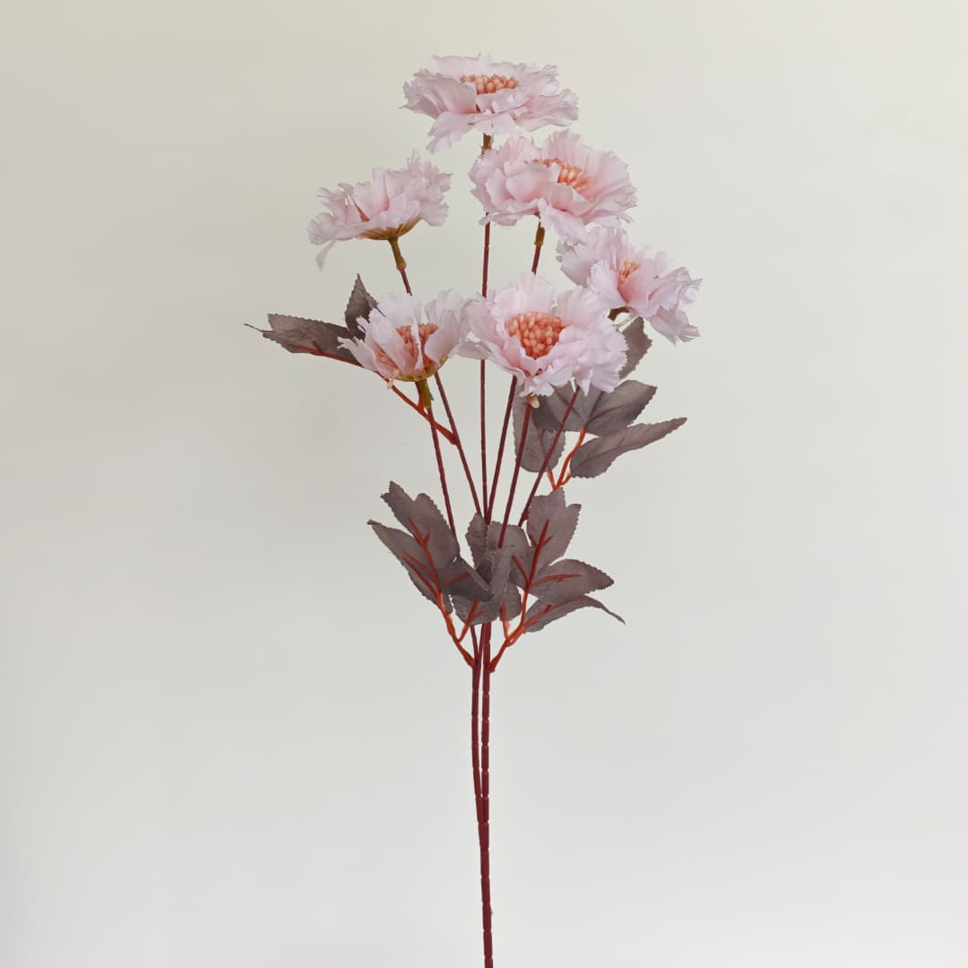 Scabiosa Flower x 6 (68cm) | Tall Flowers