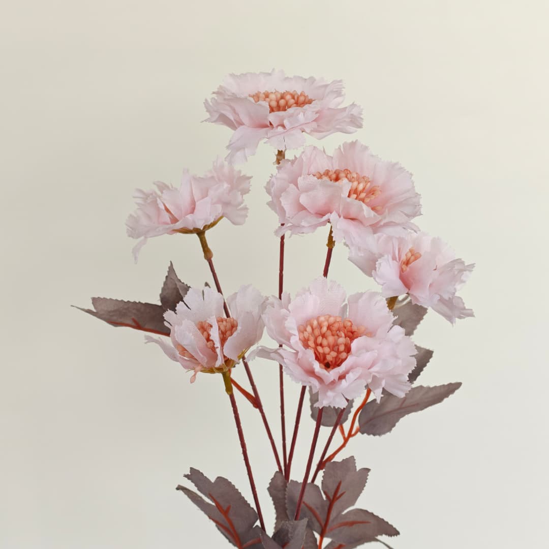 Scabiosa Flower x 6 (68cm) | Tall Flowers