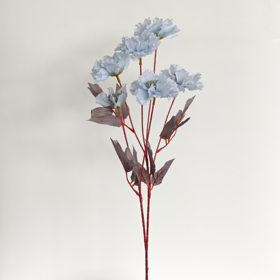 Scabiosa Flower x 6 (68cm) | Tall Flowers