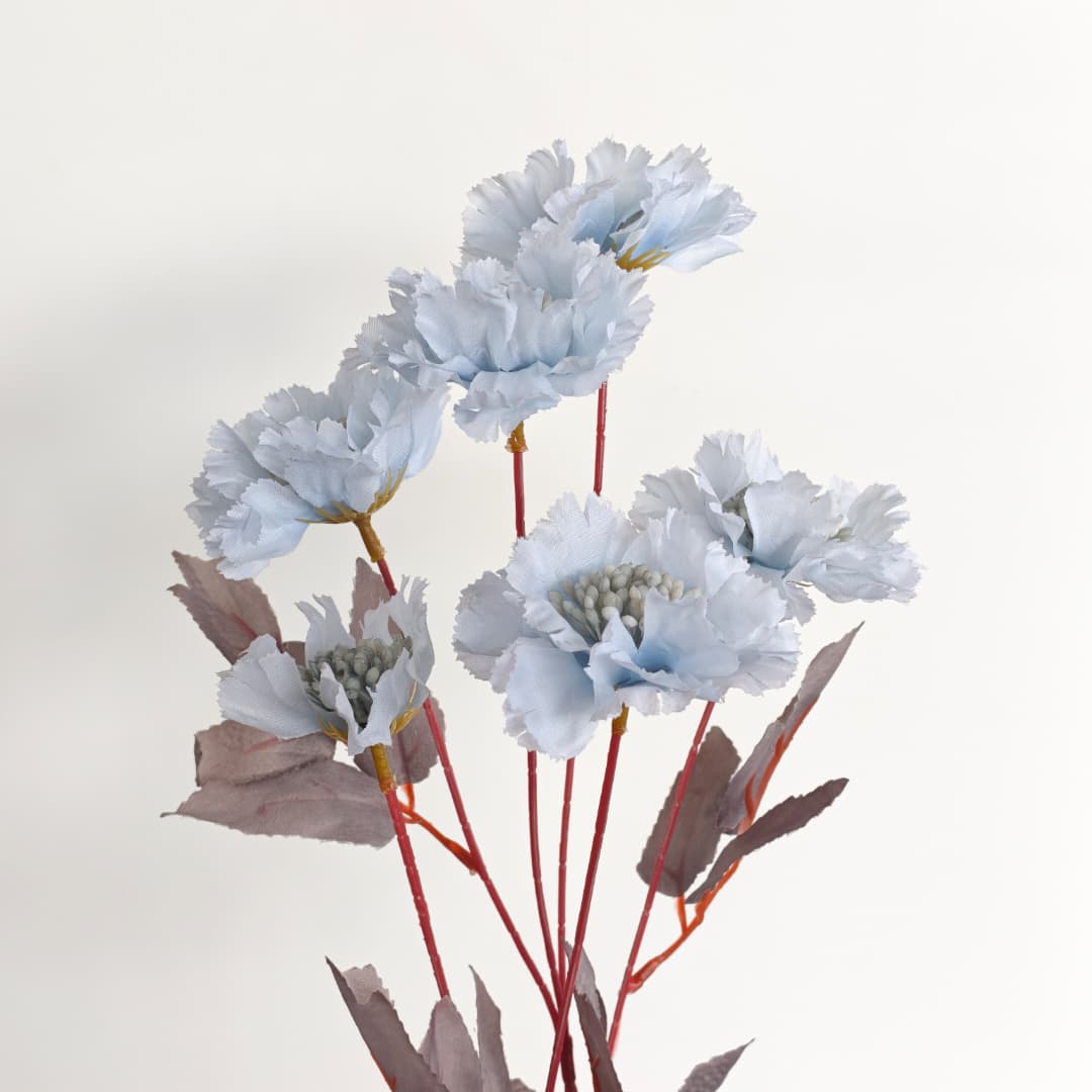 Scabiosa Flower x 6 (68cm) | Tall Flowers