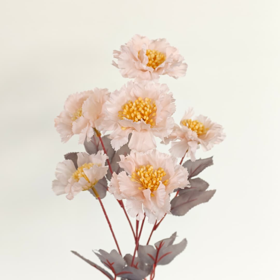 Scabiosa Flower x 6 (68cm) | Tall Flowers