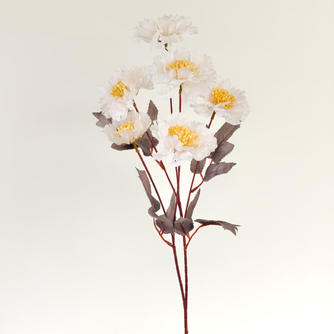 Scabiosa Flower x 6 (68cm) | Tall Flowers