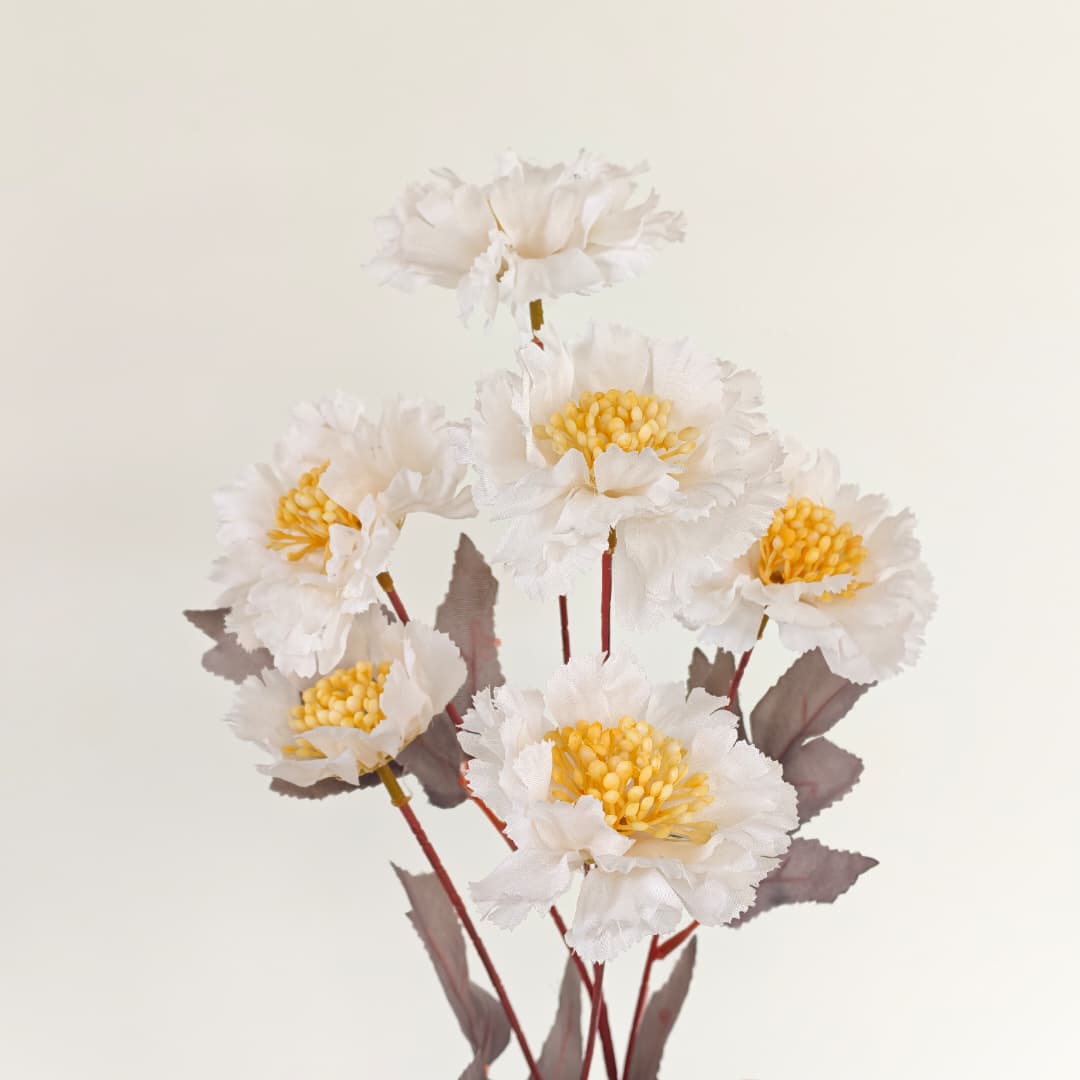 Scabiosa Flower x 6 (68cm) | Tall Flowers