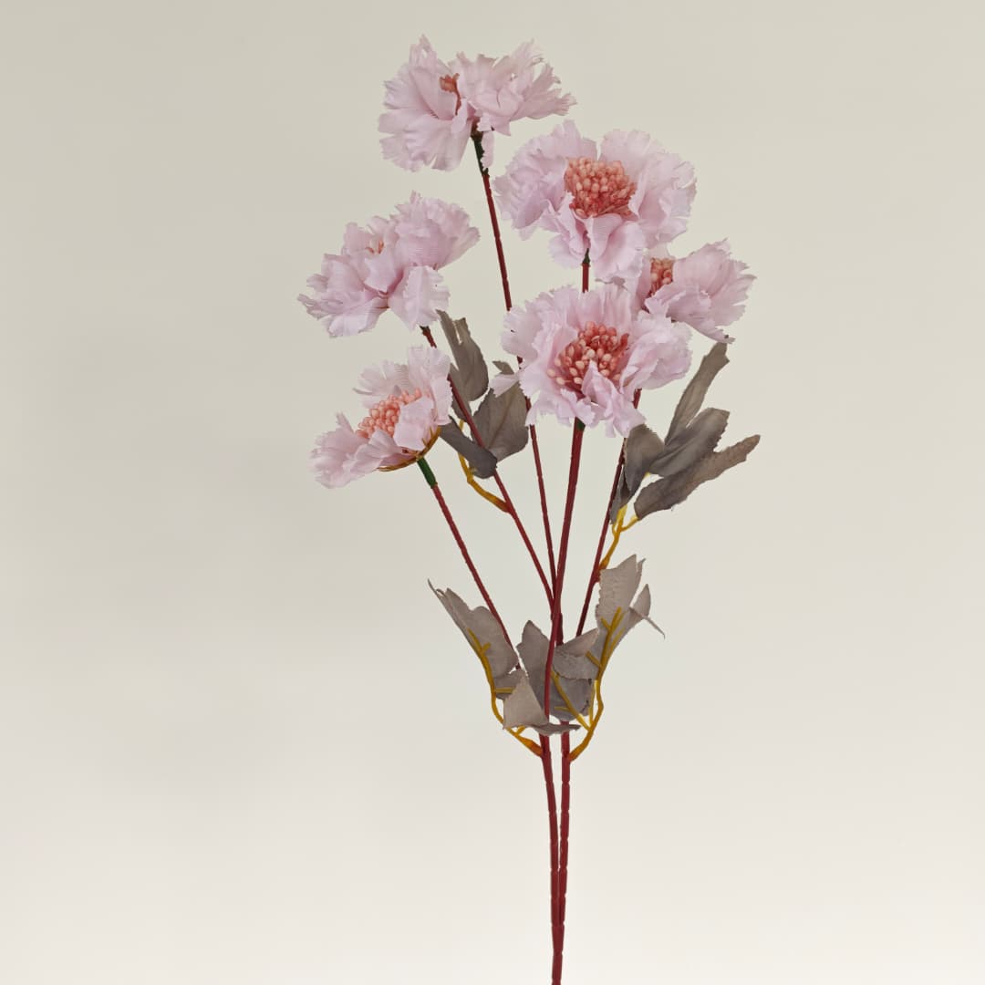 Scabiosa Flower x 6 (68cm) | Tall Flowers