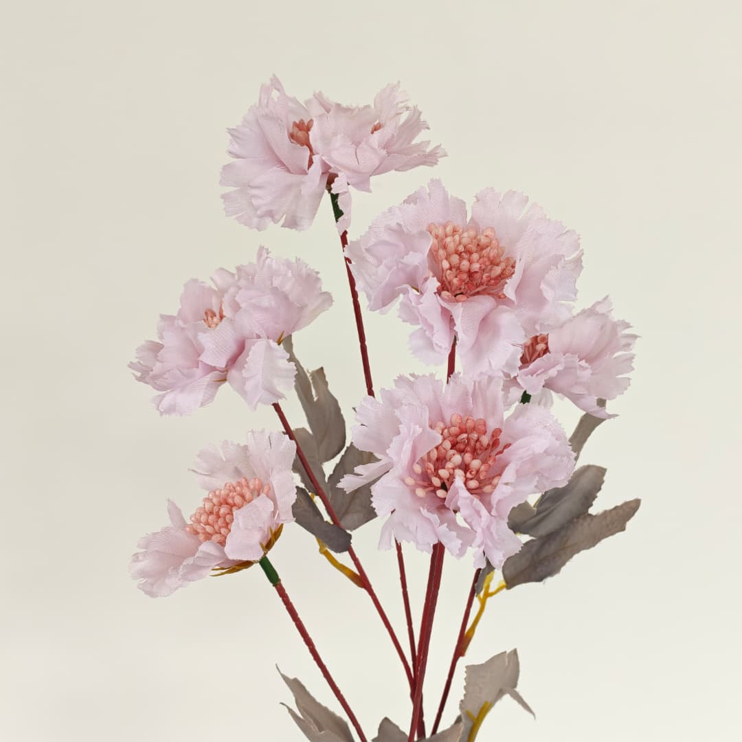 Scabiosa Flower x 6 (68cm) | Tall Flowers