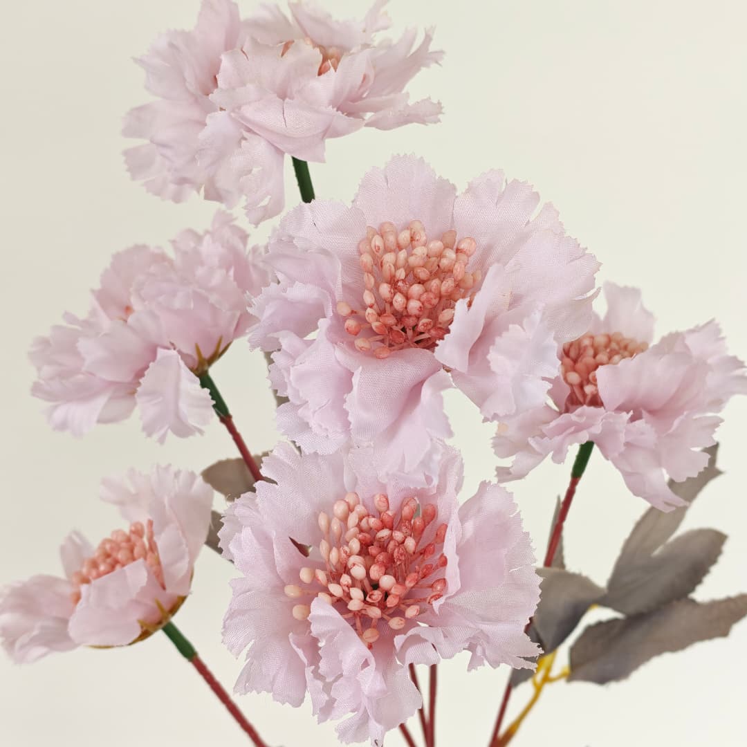 Scabiosa Flower x 6 (68cm) | Tall Flowers