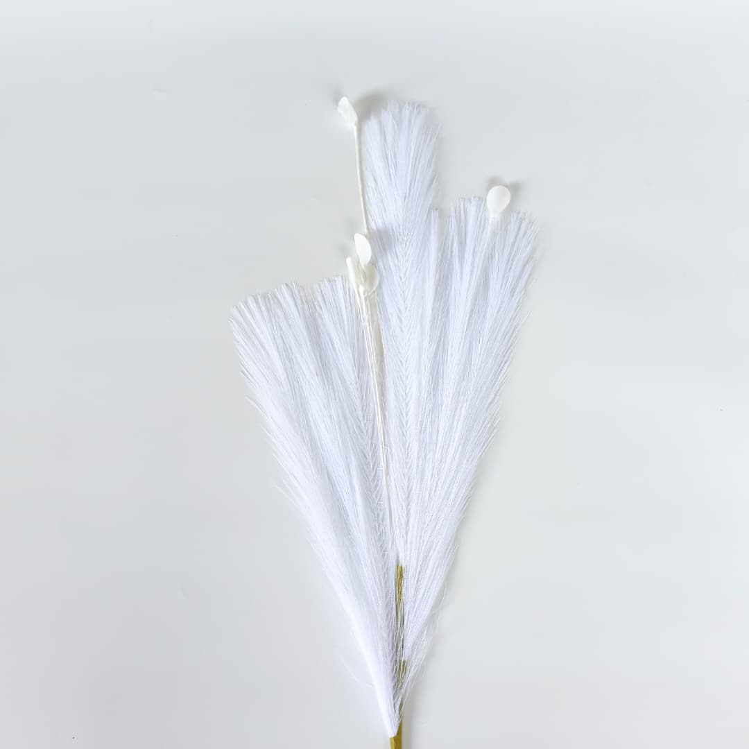 Dry Pampas Grass x 7 (77cm) | Tall Flowers