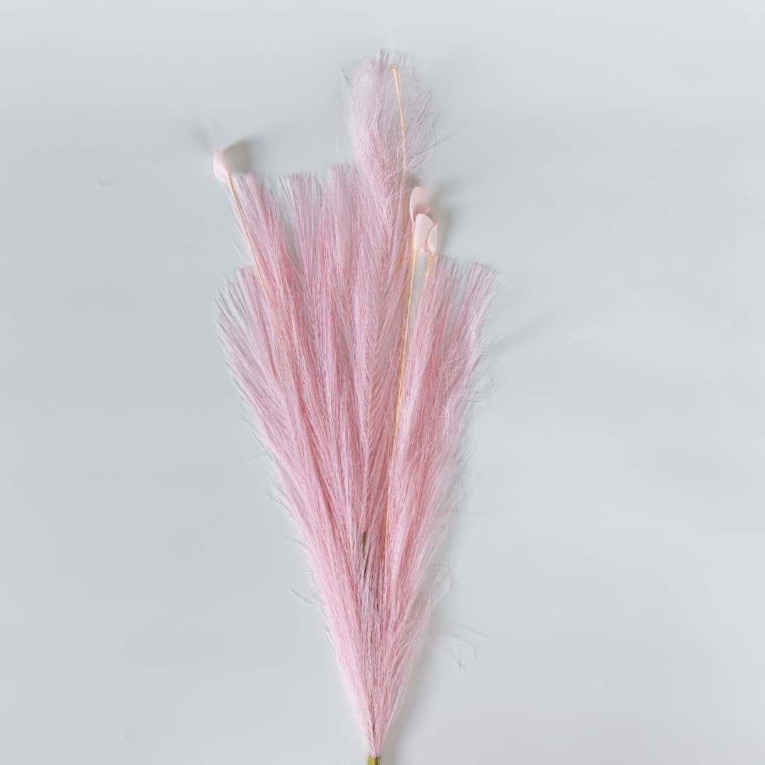 Dry Pampas Grass x 7 (77cm) | Tall Flowers