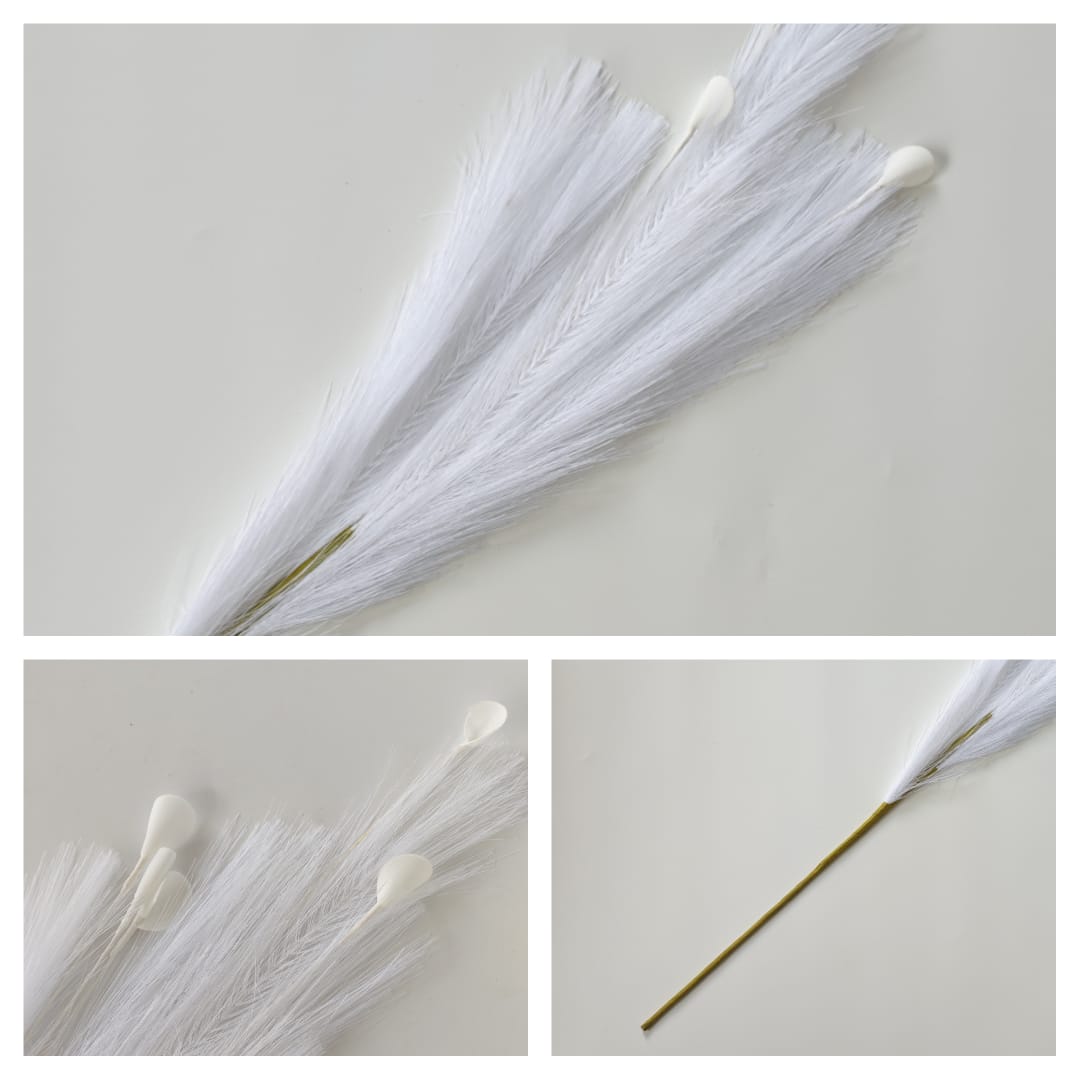 Dry Pampas Grass x 7 (77cm) | Tall Flowers