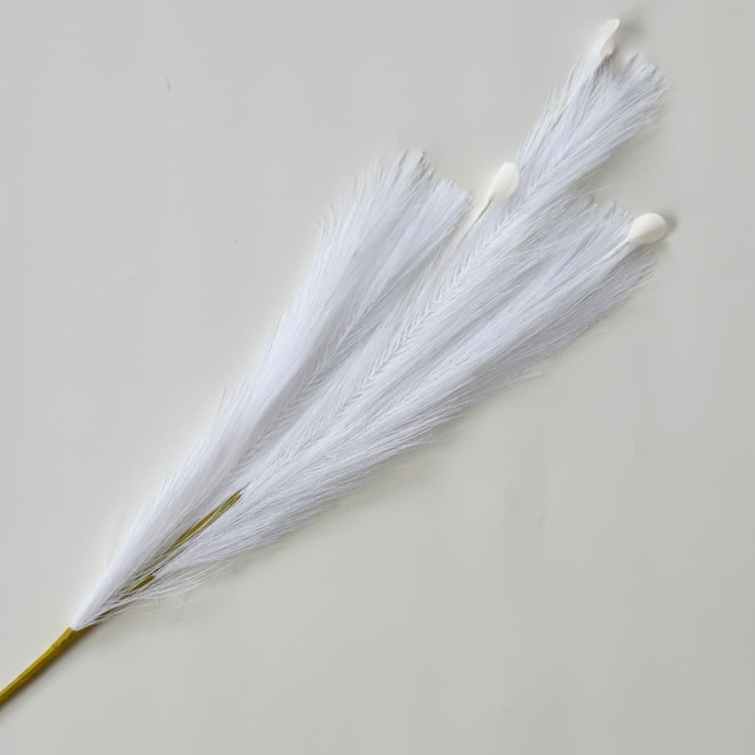 Dry Pampas Grass x 7 (77cm) | Tall Flowers