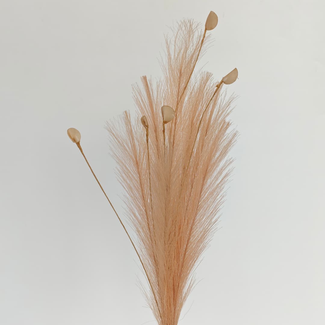 Dry Pampas Grass x 7 (77cm) | Tall Flowers