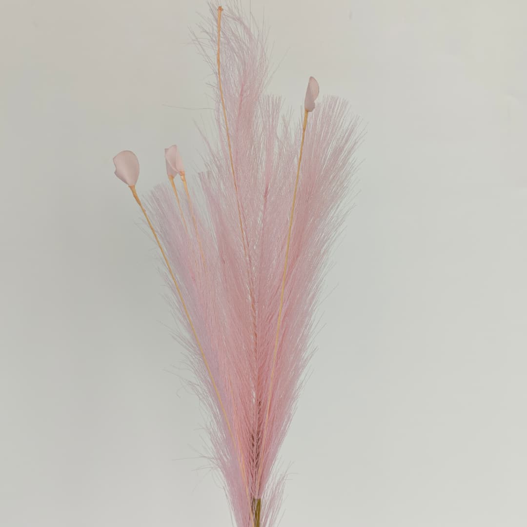 Dry Pampas Grass x 7 (77cm) | Tall Flowers