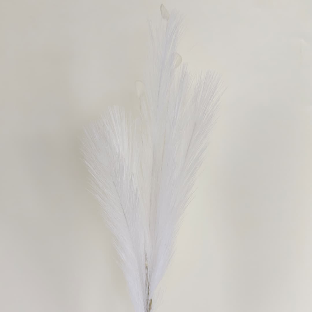 Dry Pampas Grass x 7 (77cm) | Tall Flowers