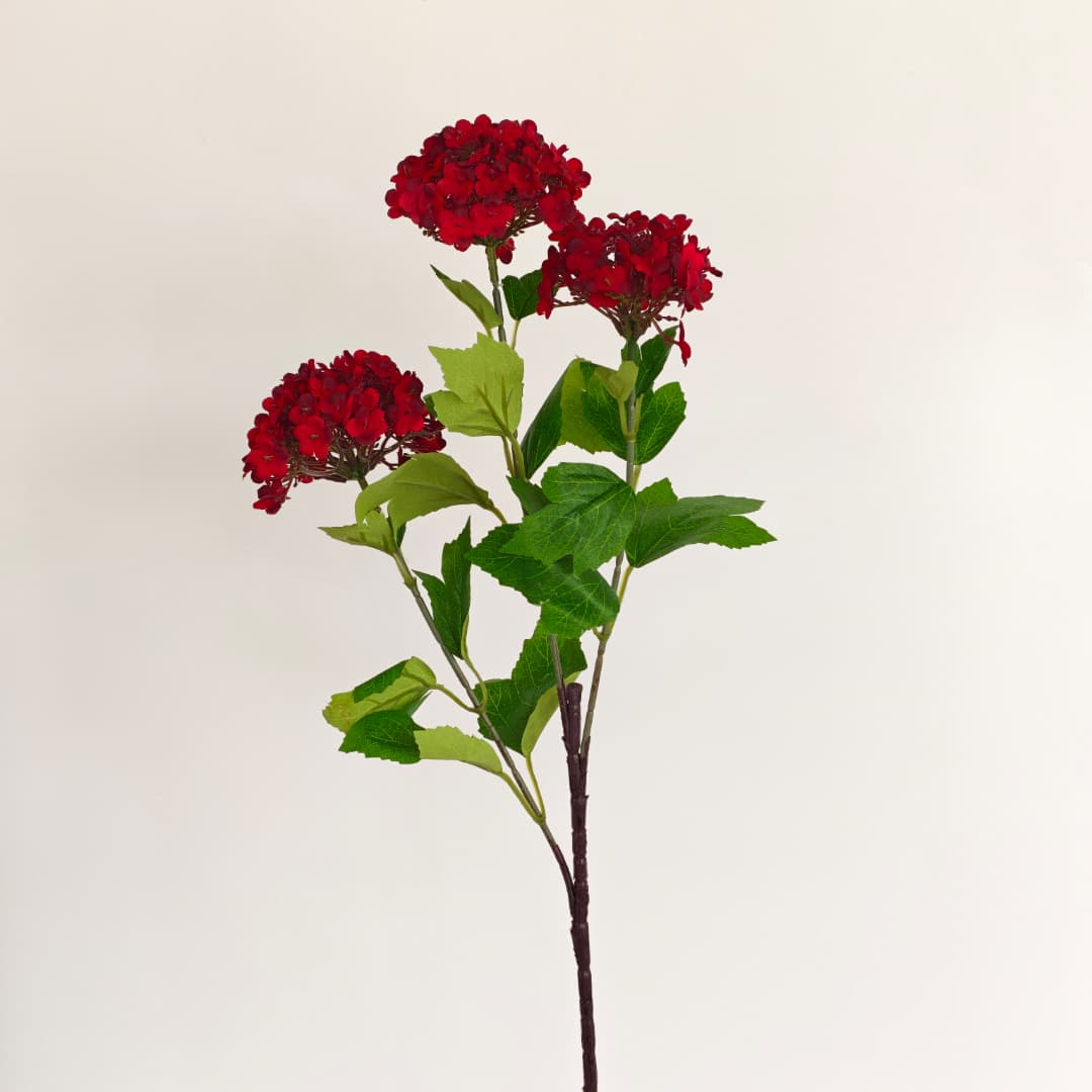 Viburnum Flower (70cm) | Tall Flowers