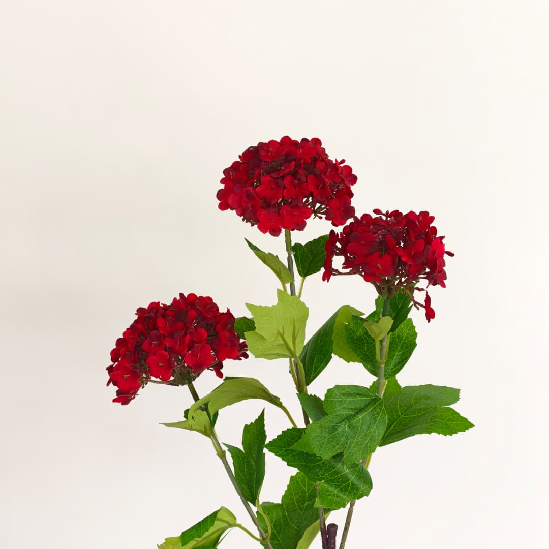 Viburnum Flower (70cm) | Tall Flowers