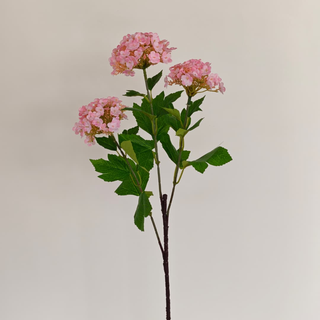 Viburnum Flower (70cm) | Tall Flowers
