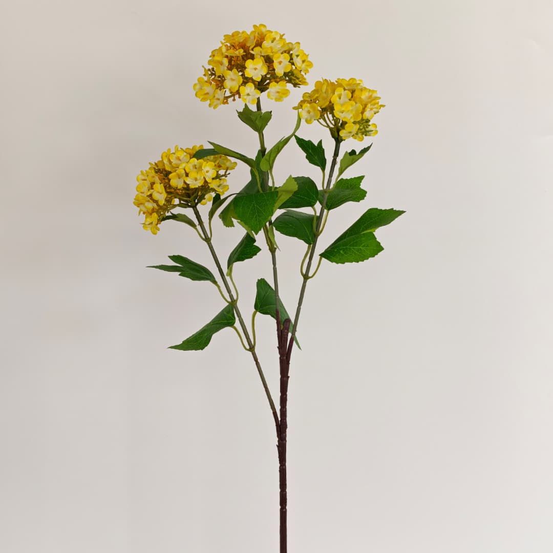 Viburnum Flower (70cm) | Tall Flowers