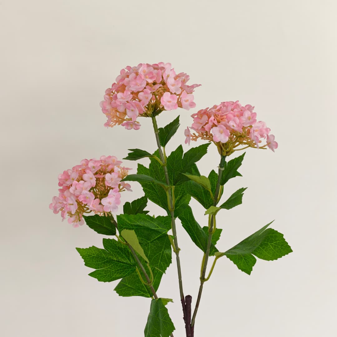 Viburnum Flower (70cm) | Tall Flowers