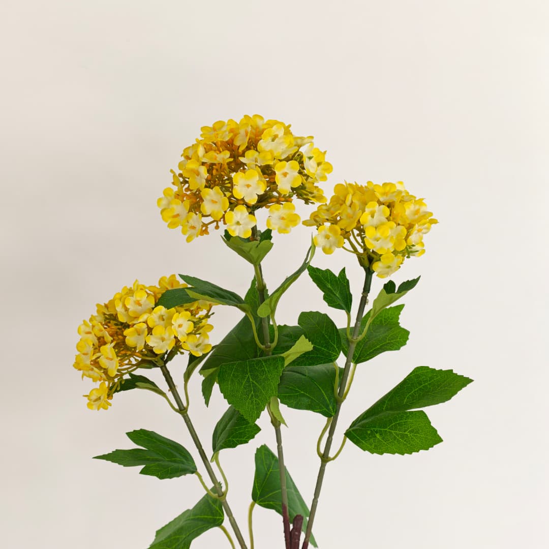 Viburnum Flower (70cm) | Tall Flowers