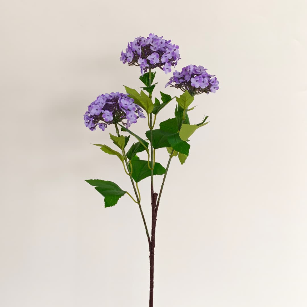 Viburnum Flower (70cm) | Tall Flowers